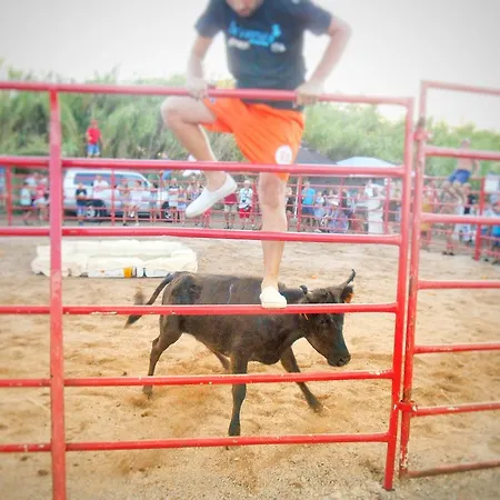 Le Camarguais Camping Lattes