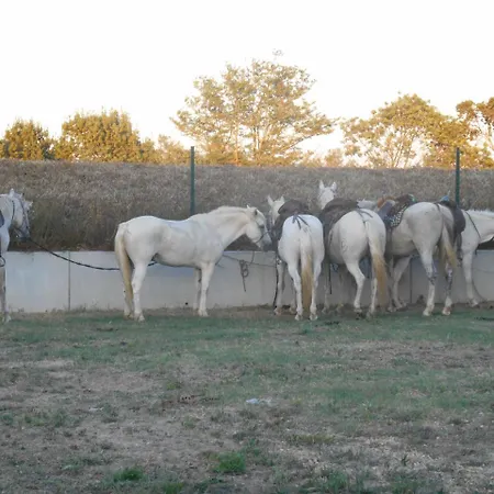 Camping Le Camarguais 4*