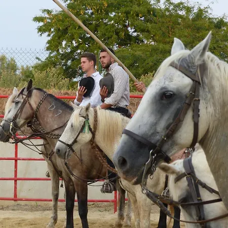 Le Camarguais 4*